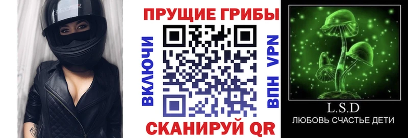 Псилоцибиновые грибы Magic Shrooms  купить наркотик  даркнет клад  Кумертау 