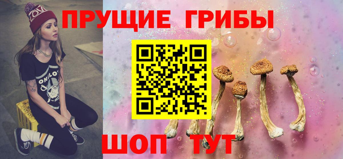 Кумертау  продажа наркотиков  Вход с VPN  Псилоцибиновые грибы Psilocybine cubensis  Псилоцибиновые грибы прущие грибы 